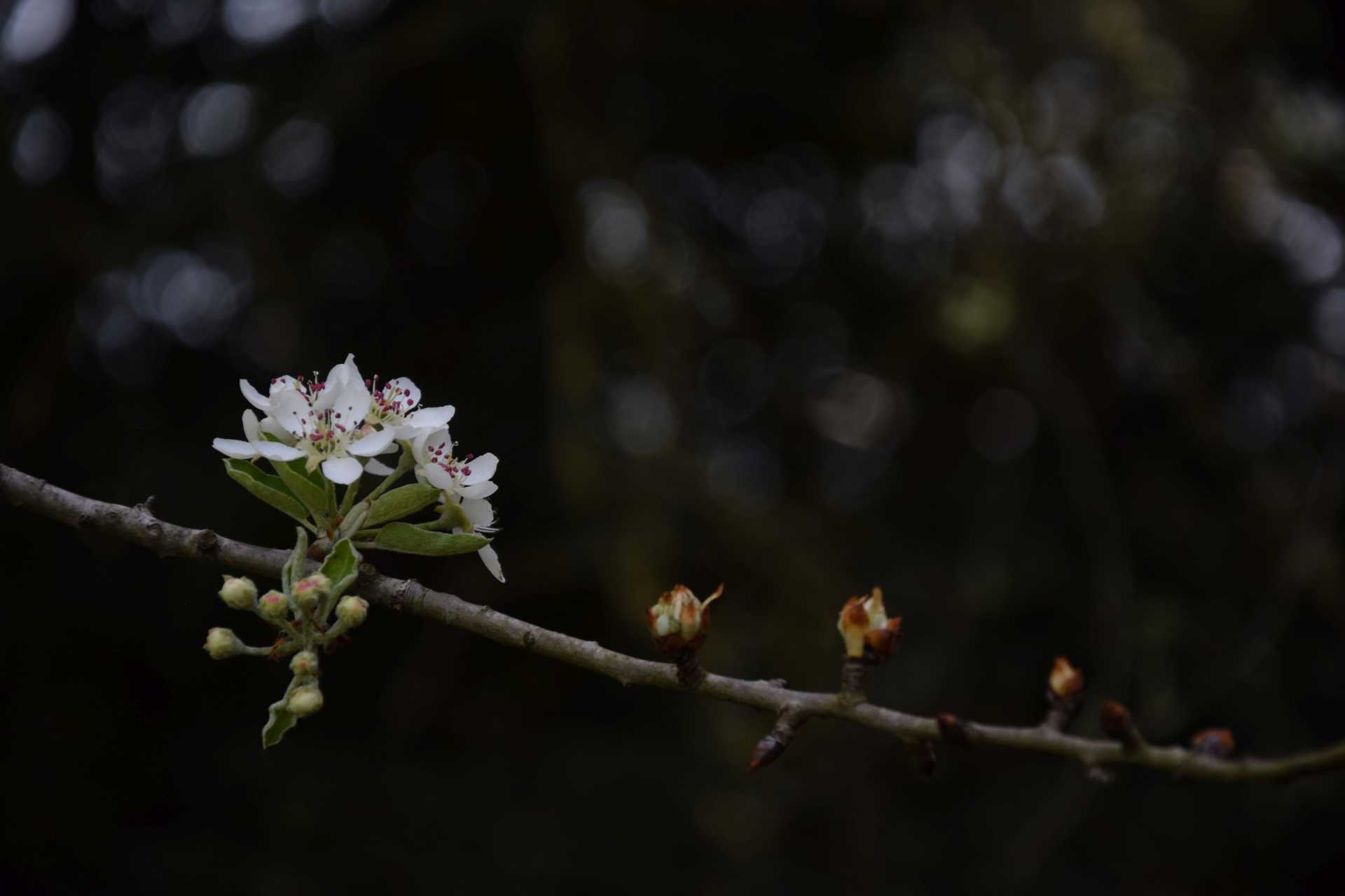 Alessia Silvi: Ostia, storie di volti e di natura